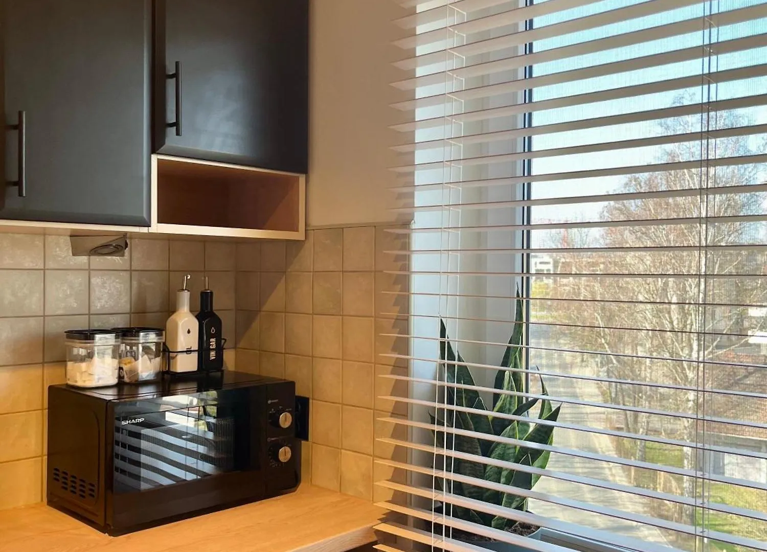 Apartament Soltysowska- Garaz Bezplatny Krakov Polsko